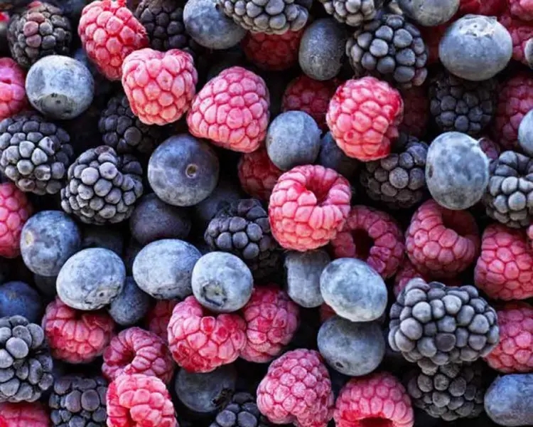 mixed berries.webp.jpg